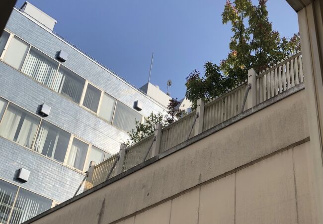 花の楽園 クチコミ アクセス 営業時間 池袋 フォートラベル