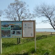 道の駅ウトナイ湖へ寄ったついでに