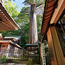 事任八幡宮