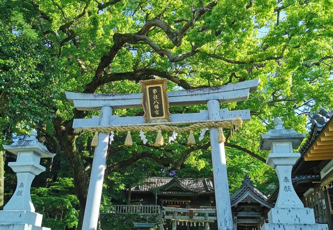 掛川のおすすめ観光スポット クチコミ人気ランキングtop フォートラベル 静岡県 掛川のおすすめ観光スポット クチコミ人気ランキングtop フォートラベル 静岡県