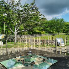 掛川城公園