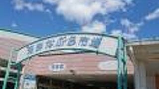 御前崎海鮮なぶら市場 