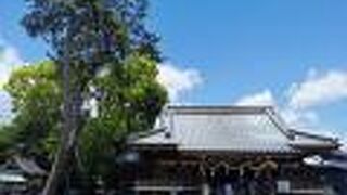 焼津神社 