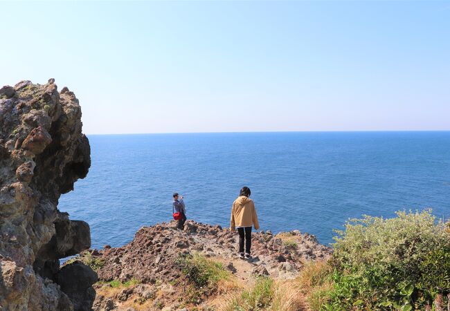 朝の散歩にお勧め（ただし、暑くない時期）