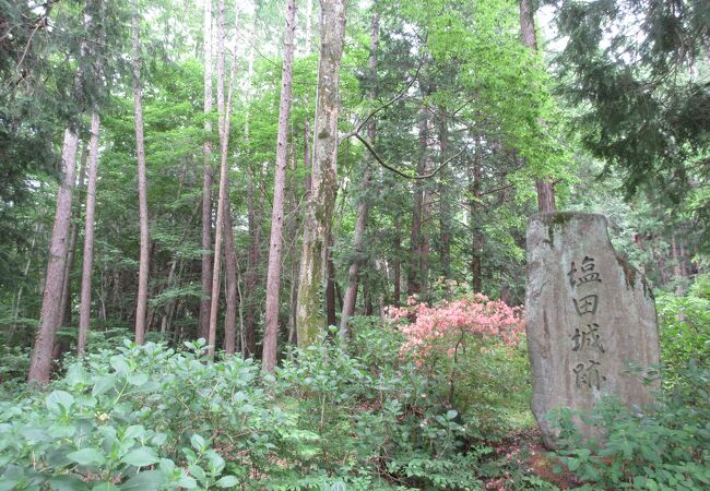 武田信玄や真田幸村も支配していました