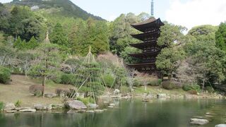 誰もが写真を撮りたくなる