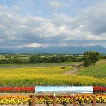 十勝岳を望む深山峠展望台