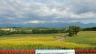 国道237号線沿いにある峠の展望台