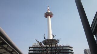 大きく存在感ある