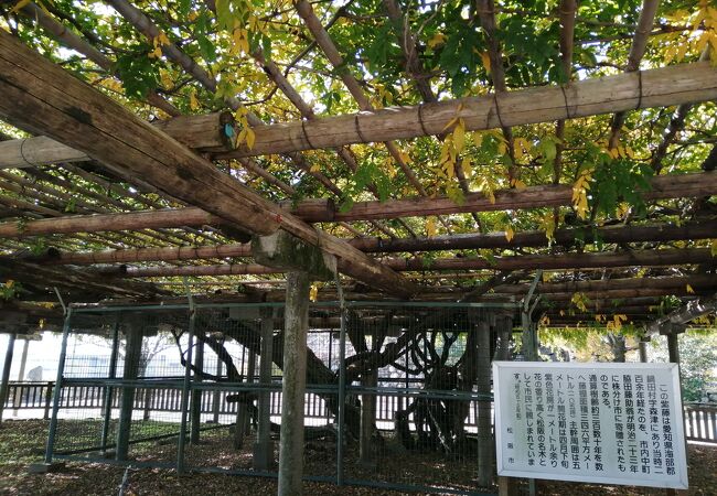 三重県の公園 植物園 クチコミ人気ランキングtop40 フォートラベル 三重県の公園 植物園 クチコミ人気ランキングtop40 フォートラベル