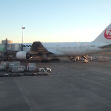 たくさんの飛行機が駐機しています