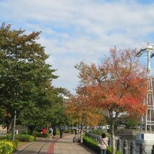 気持ちのいい散歩道、右側にはロープウェイの橋脚