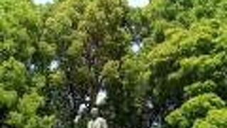 やっと綺麗に見えるように