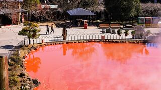 別府で地獄めぐり～インパクト１位の血の池地獄