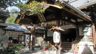 御苑内の桃園 梅園の南 にある白雲神社 赤い幟と鳥居が目に付きます