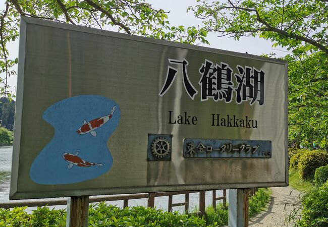 八鶴湖 