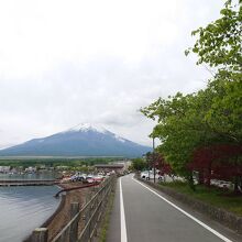 白鳥浜～平野に掛けての北東部は歩道完備。富士山も見えて良い。