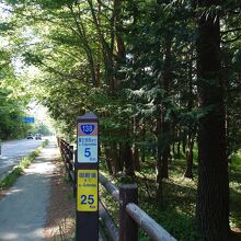 富士山駅から山中湖の距離は9キロ。2時間程歩けば行けます。