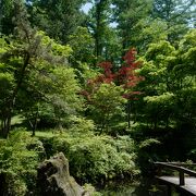 緑に囲まれた静かな場所で、ゆっくり過ごせます。