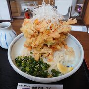 びっくりかき揚げうどんボリューム満点！