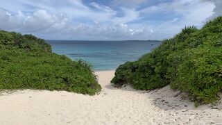 ごめんなさい、また独占でした。