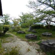 本薬師寺跡前庭の礎石