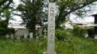 古代史の里巡り