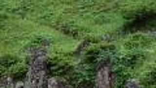 足利義昭をもてなすために造られた庭園