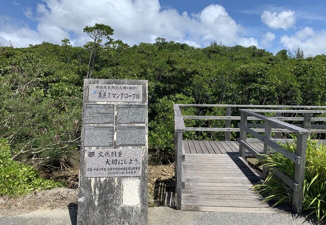 島尻のマングローブ林 クチコミ アクセス 営業時間 宮古島 フォートラベル 島尻のマングローブ林 クチコミ アクセス 営業時間 宮古島 フォートラベル