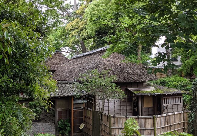 湘南発祥の地