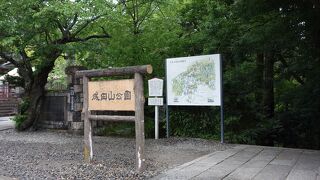 季節ごとに楽しめる大きな公園