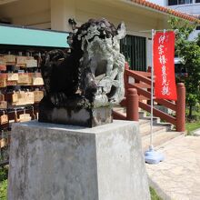 阿形（あぎょう）の狛犬。