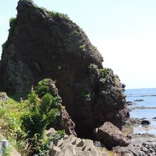 タヌキのように見える岩