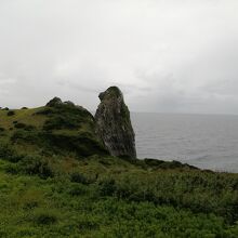 とてもユニークな岩です