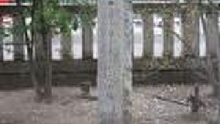 浅草神社にあります