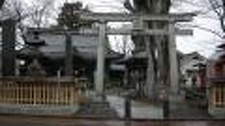 歴史ある神社らしいです