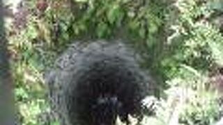 神社の隣にあります。