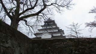 春の鶴ヶ城(若松城)