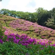 つつじの季節に