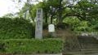 丸岡城を中心とした公園