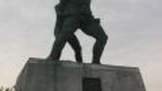 手入れがされておらず荒れていました