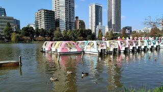 いにしえの時代から現代に至るまで、様々な表情を持っています