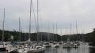 美しいのは荒井浜海岸です。油壺公園ではありません