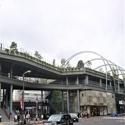 大きく変化した渋谷駅近くの公園