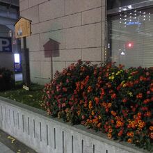 このような分かりにくい場所です。