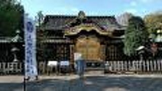 「昇り龍」は上ではなく、下を向いています！