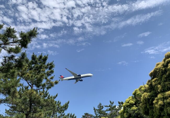 大森 大井町のおすすめ観光スポット クチコミ人気ランキングtop フォートラベル 東京 大森 大井町のおすすめ観光スポット クチコミ人気ランキングtop フォートラベル 東京