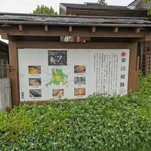 綾瀬市の城山公園