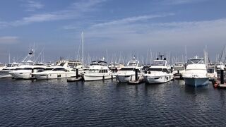 リニューアル！