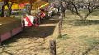 源頼朝の建立寺をミスって太田道灌の父道真の寺に来た